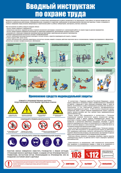 С152 Вводный инструктаж по охране труда (700х1000 мм, пластик ПВХ 3мм, Прямая печать на пластик)  - Стенды - Стенды по охране труда - Магазин охраны труда и техники безопасности stroiplakat.ru